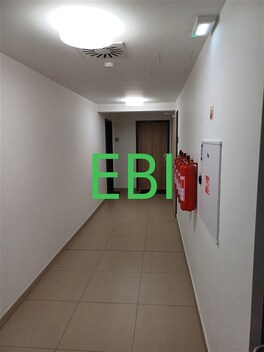 foto04_11356452_xvk0g.jpg