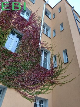 foto04_11380053_10tyc4.jpg