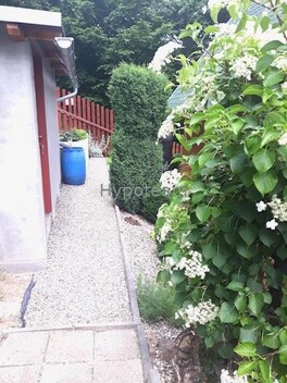 foto04_11505653_askck.jpg