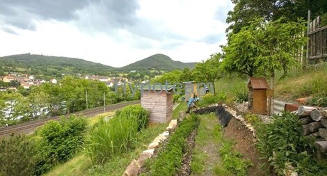 foto04_11505653_gvluc.jpg