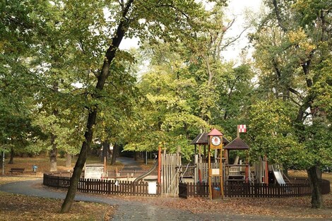 foto04_11090323_t8w38.jpg