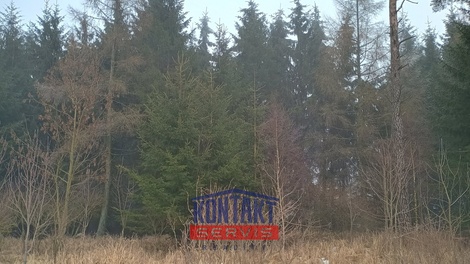 foto05_11463452_8hbdg.jpg