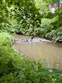 foto05_11482183_4q6jg.jpg