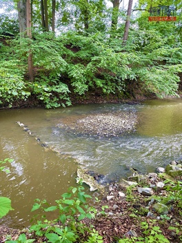 foto05_11482183_888u6.jpg