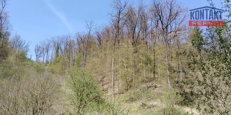foto05_11509018_6e2lm.jpg