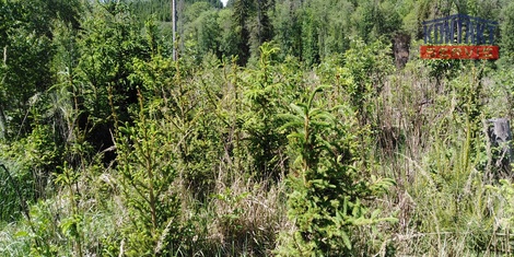 foto05_11514457_7v3v6.jpg