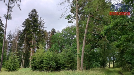 foto05_11520160_6m1ss.jpg
