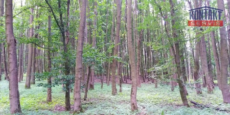 foto05_11523441_5g0c8.jpg