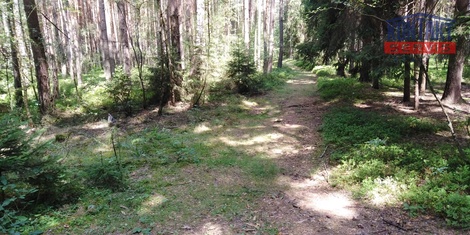 foto05_11536275_4m99g.jpg