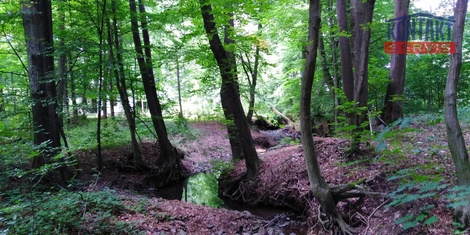 foto05_11538700_8n9hs.jpg
