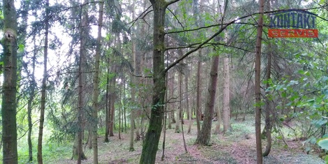 foto05_11555608_6tc88.jpg