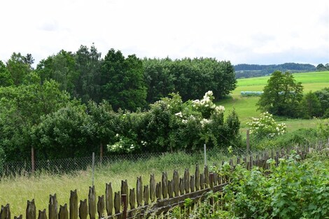 foto04_11333397_1et8s0.jpg