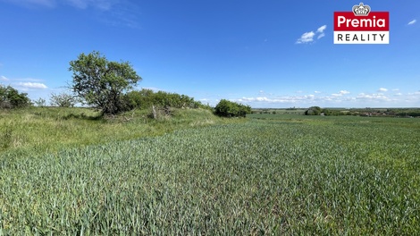foto05_11426767_8bfqm.jpg