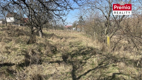 foto05_11473460_42ha2.jpg