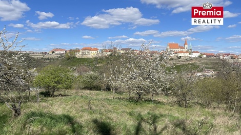 foto05_11473460_5gqdc.jpg