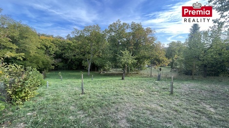 foto05_11482070_1vu48.jpg