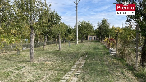 foto05_11482070_24sck.jpg