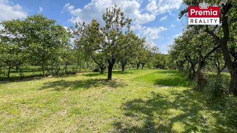 foto05_11482070_3aiio.jpg
