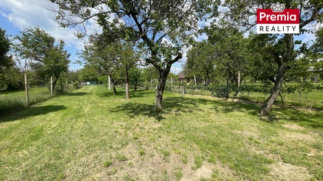 foto05_11482070_3vfvc.jpg