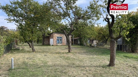 foto05_11482070_5mbqi.jpg