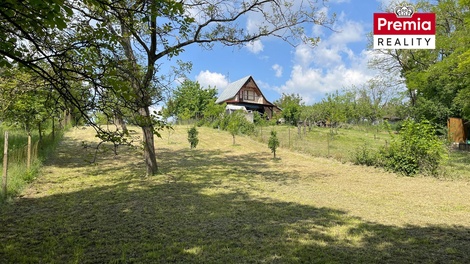 foto05_11482070_666cs.jpg