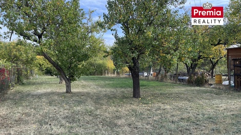 foto05_11482070_83crq.jpg