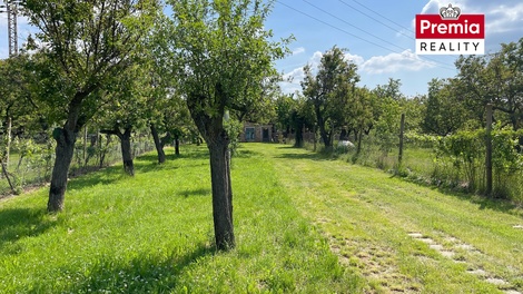 foto05_11482070_8lhlo.jpg