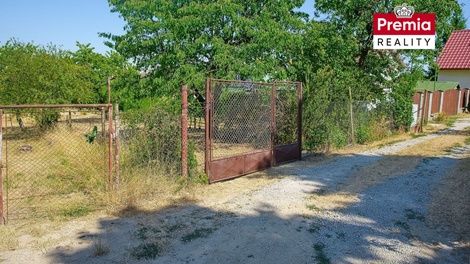 foto05_11533247_2qavs.jpg