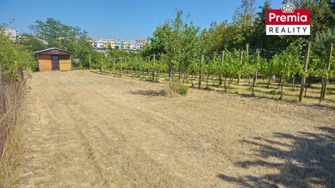 foto05_11533247_7ub6c.jpg
