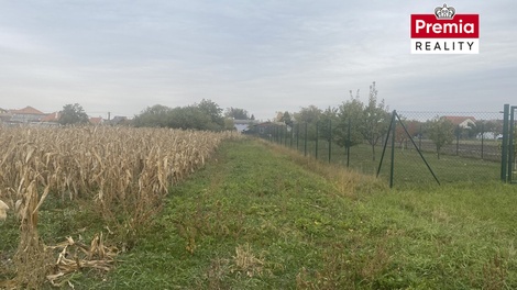 foto05_11568349_5nds8.jpg