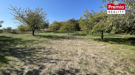 foto05_11572863_1kuvc.jpg