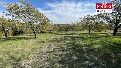 foto05_11572863_8r5s.jpg