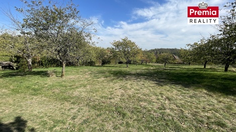 foto05_11572863_qpla.jpg