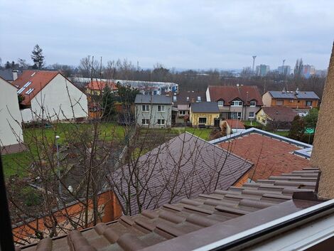 foto13_11489178_08081.jpg