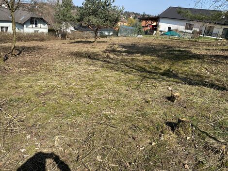 foto13_11480362_47483.jpg