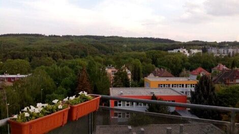foto13_11504379_14949.jpg