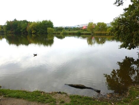 foto04_11512050_1aovhw.jpg