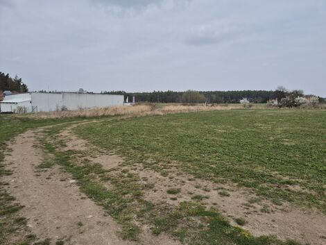 foto13_11484450_65539.jpg