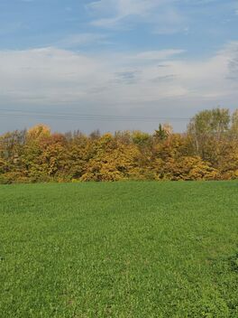 foto13_11569697_51696.jpg