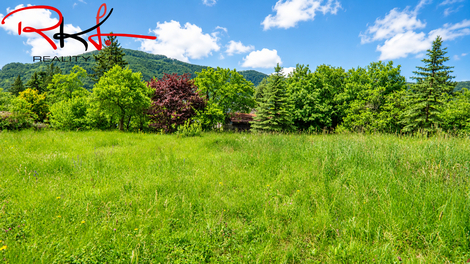 foto16_11506628_45311.jpg