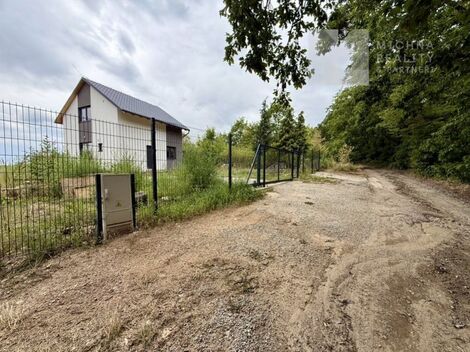 foto02_11541632_19c7ho.jpg