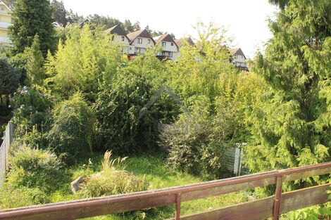 foto02_11002461_dzv1k.jpg