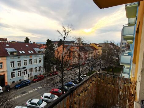 foto02_11459736_12uxyk.jpg