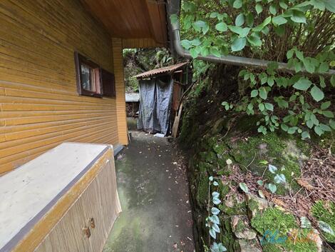 foto02_11355724_1hi4l4.jpg