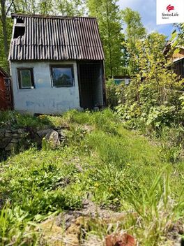 foto02_11315164_6fmi4.jpg