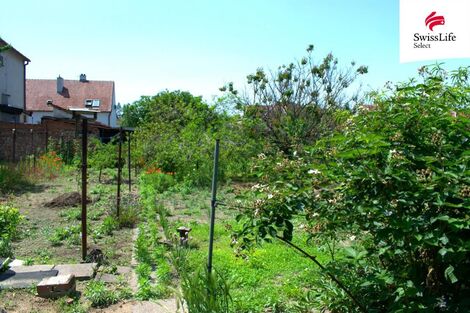 foto02_11338325_qcizo.jpg