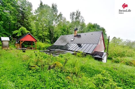 foto02_11348122_1iuh0o.jpg