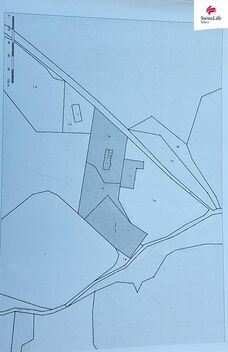 foto02_11359613_fp5zk.jpg