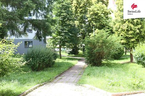 foto02_11372009_8we3s.jpg