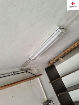 foto02_11372011_1m8rn4.jpg